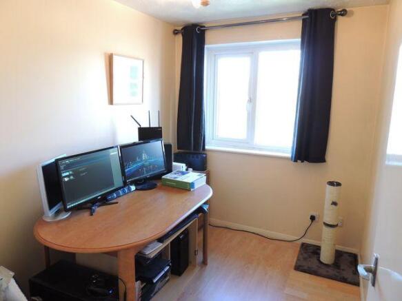 Photo 5