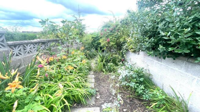 Garden Two.jpg