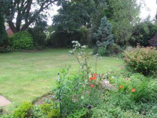 Picture No.02
