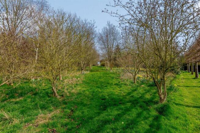 Woodland