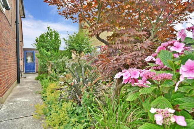 Side Garden