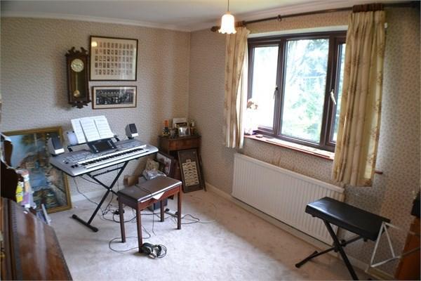 photo7