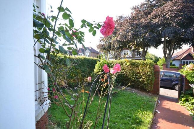 Front garden