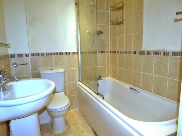 Image 8