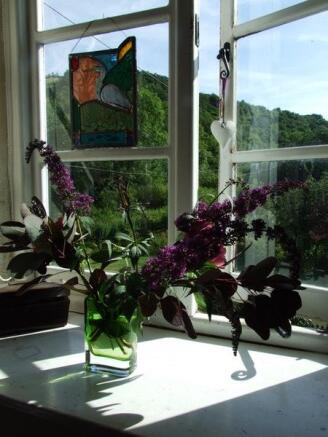 Photo 31