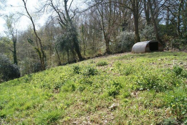 Field
