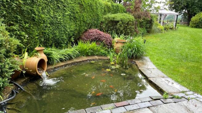 Pond