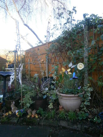 Photo 24
