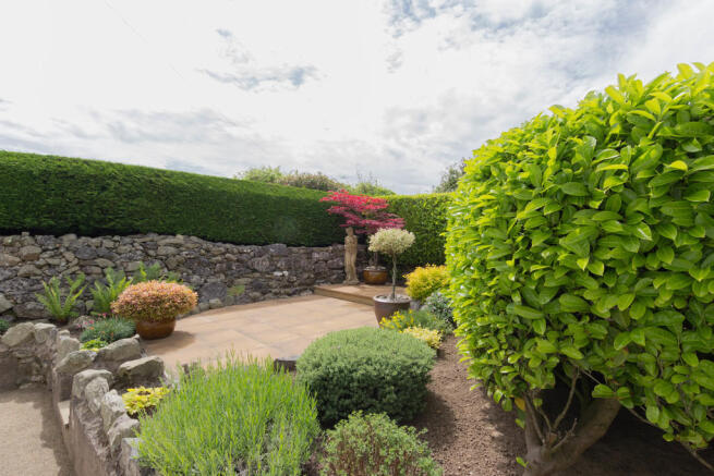 Rear Patio