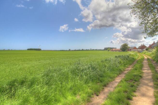 Field Views