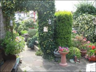 Photo 7
