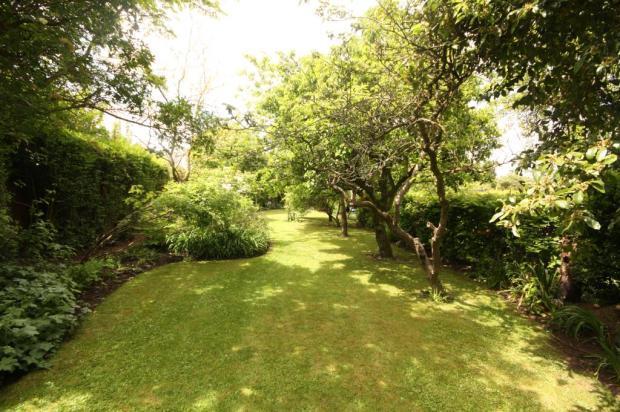 Garden Image 1