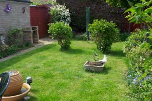 Garden Picture 2
