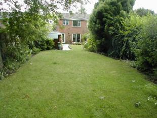 Rear of Property