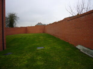 Back Garden
