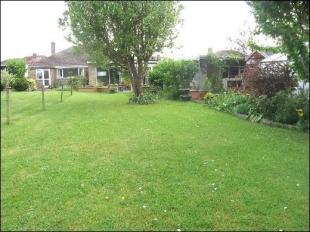 Rear Garden 2