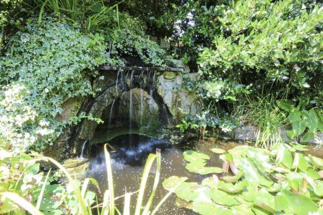 Pond feature