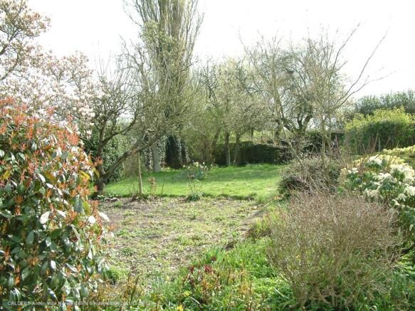 Side Garden