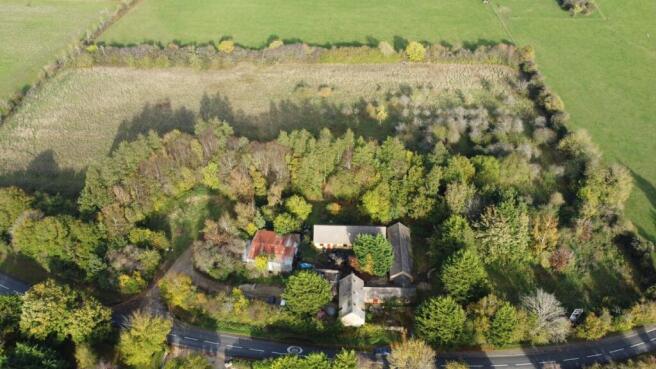 Aerial Image