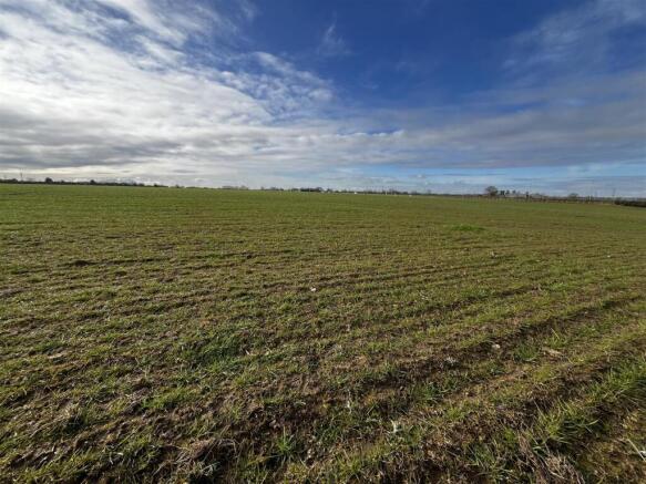 Photo 14-03-2025, 9 25 36 AM.jpg