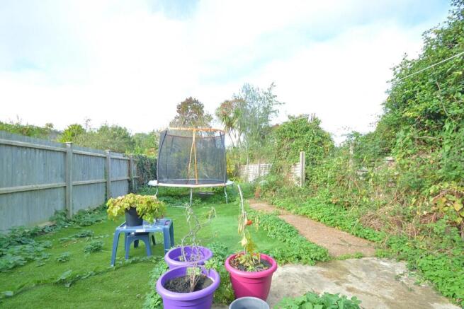 GardenNEW.jpg