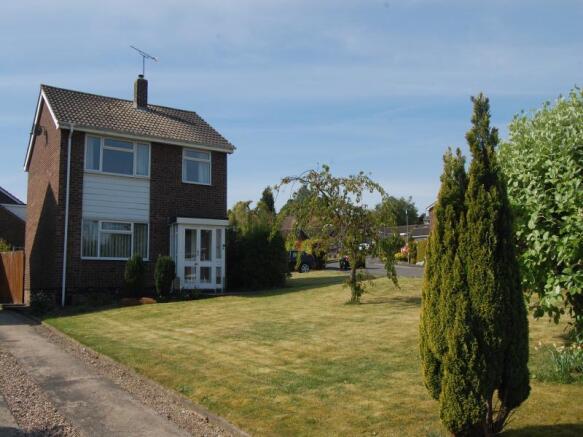 Image 15