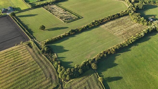 dji_fly_20250916_175354_0603_1758042536963_photo.j