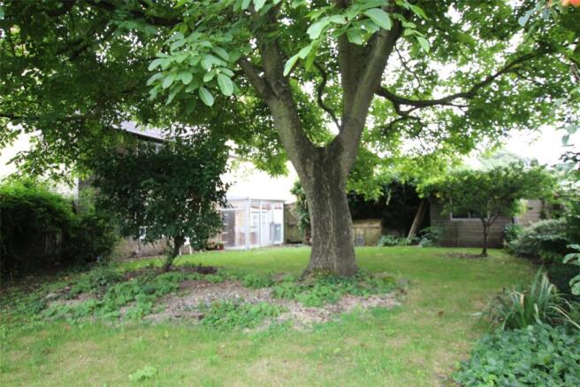 Garden 3