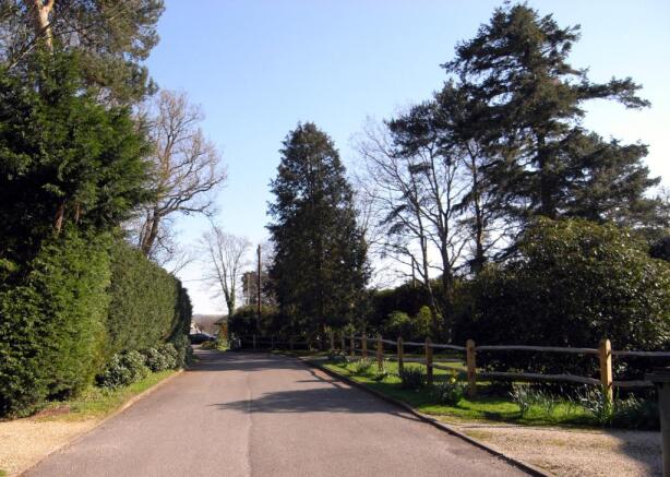 the lane