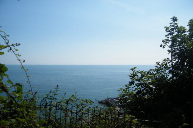 Local View