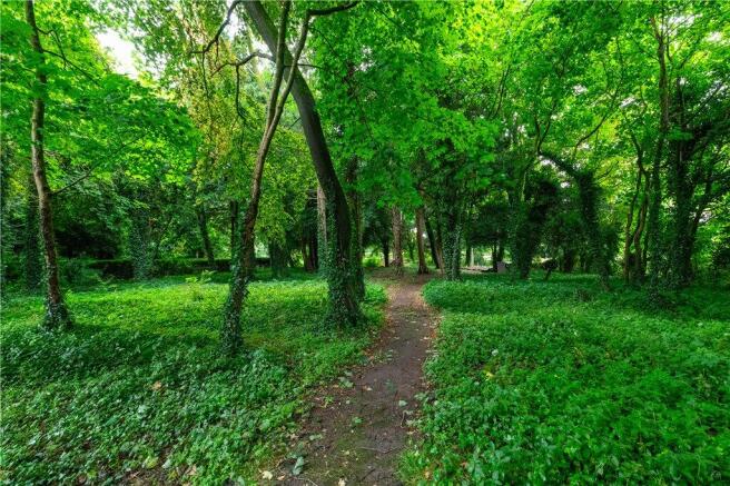 Woodland