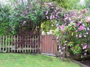 "Secret Garden"