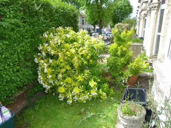 Front garden