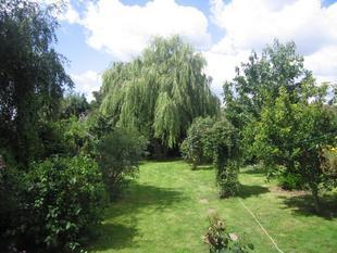 Picture No.10