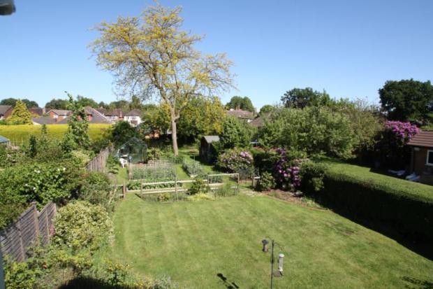 Elevated Garden View