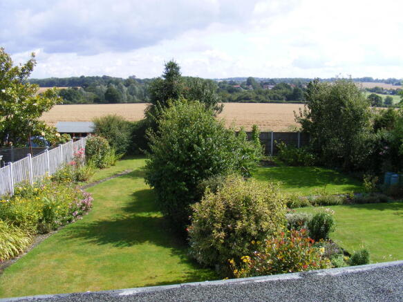 View at Rear