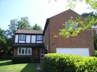 Rear View Of House