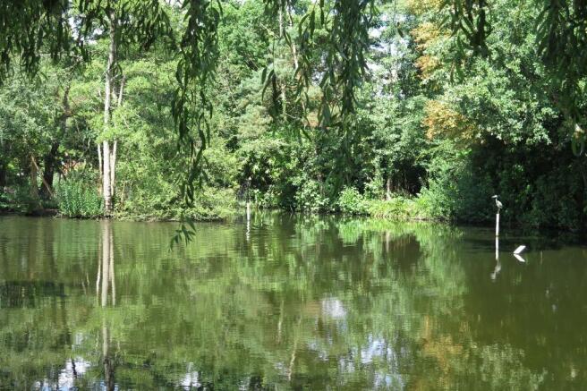 Nearby Blackmoor Pond