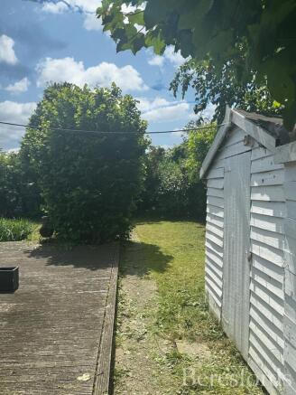 Summer Garden