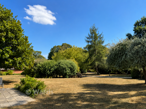 Communal Ground