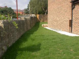 Side Garden