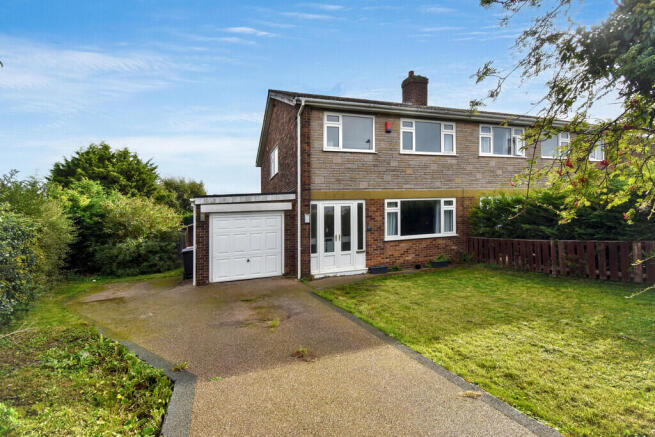 DSC_0091