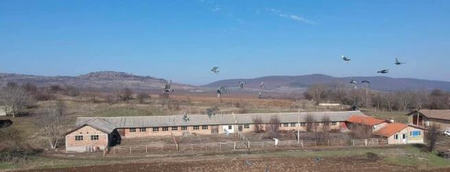 Long farm building with fenced enclosure in front and birds flying across the scene.