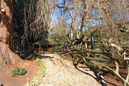 Communal Gardens