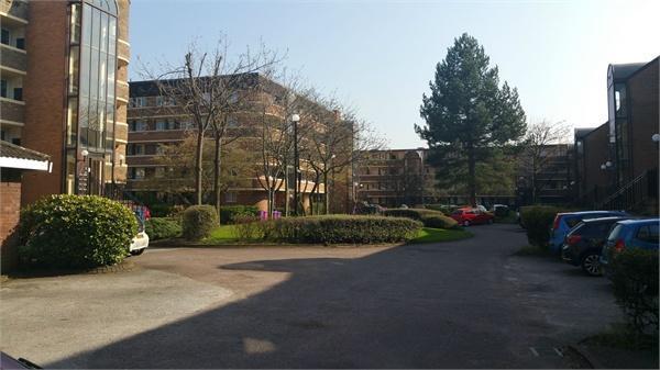 Communal Gardens