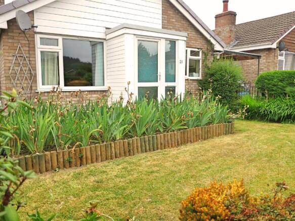 Garden 4.jpg