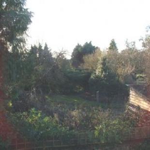 View from rear