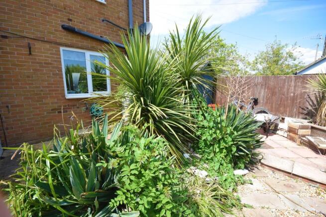 Garden 2