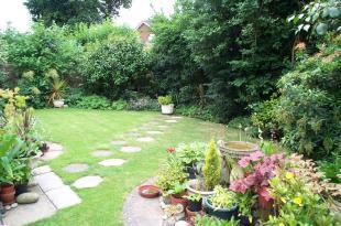 Garden 2