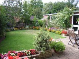 garden